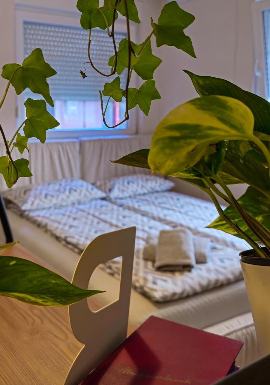 Apartmani Zrenjanin Bagian luar foto